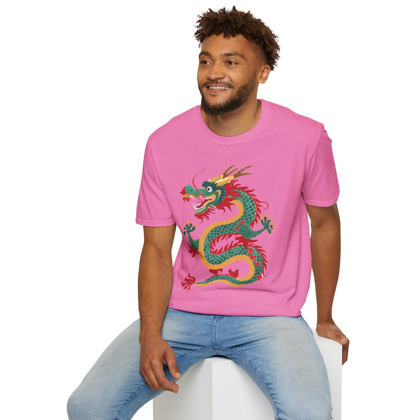Dragon T Shirt, Dragon Shirt, Shirt with Animals, Animal Shirt