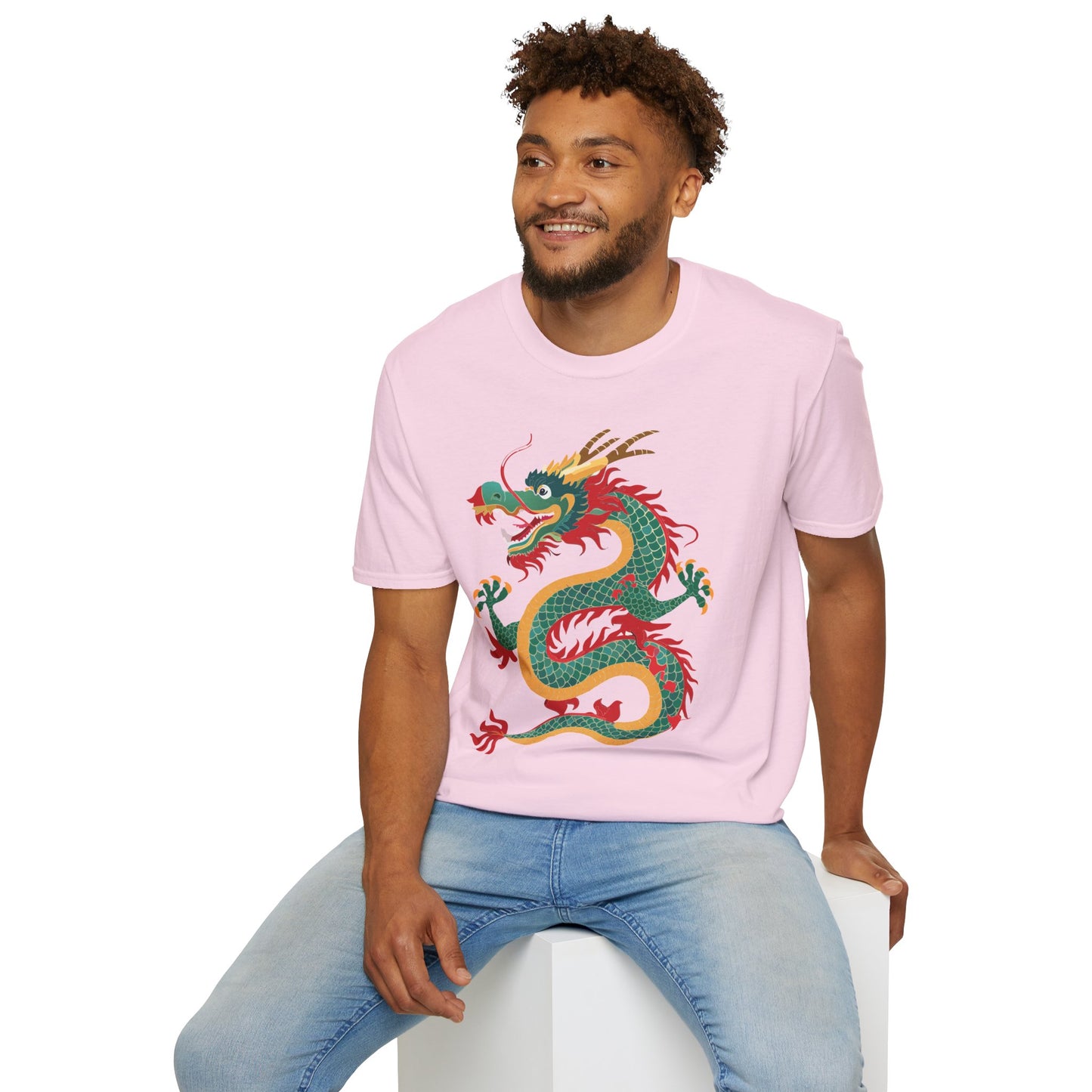 Dragon T Shirt, Dragon Shirt, Shirt with Animals, Animal Shirt