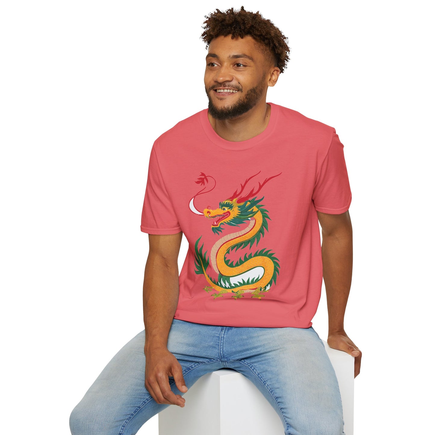 Dragon T Shirt, Dragon Shirt, Shirt with Animals, Animal Shirt