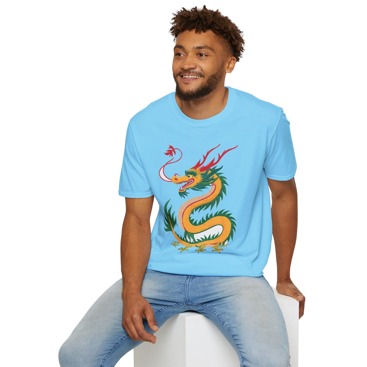 Dragon T Shirt, Dragon Shirt, Shirt with Animals, Animal Shirt