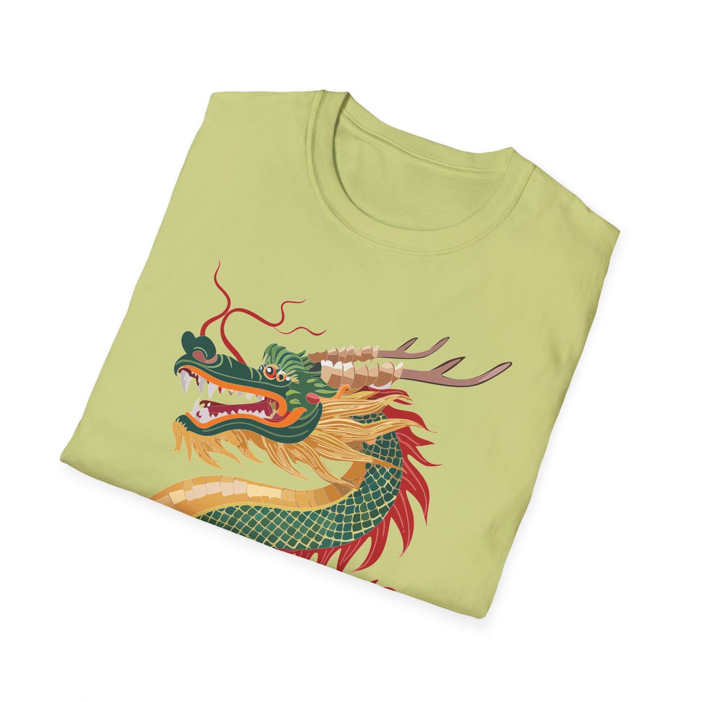 Dragon T Shirt, Dragon Shirt, Shirt with Animals, Animal Shirt