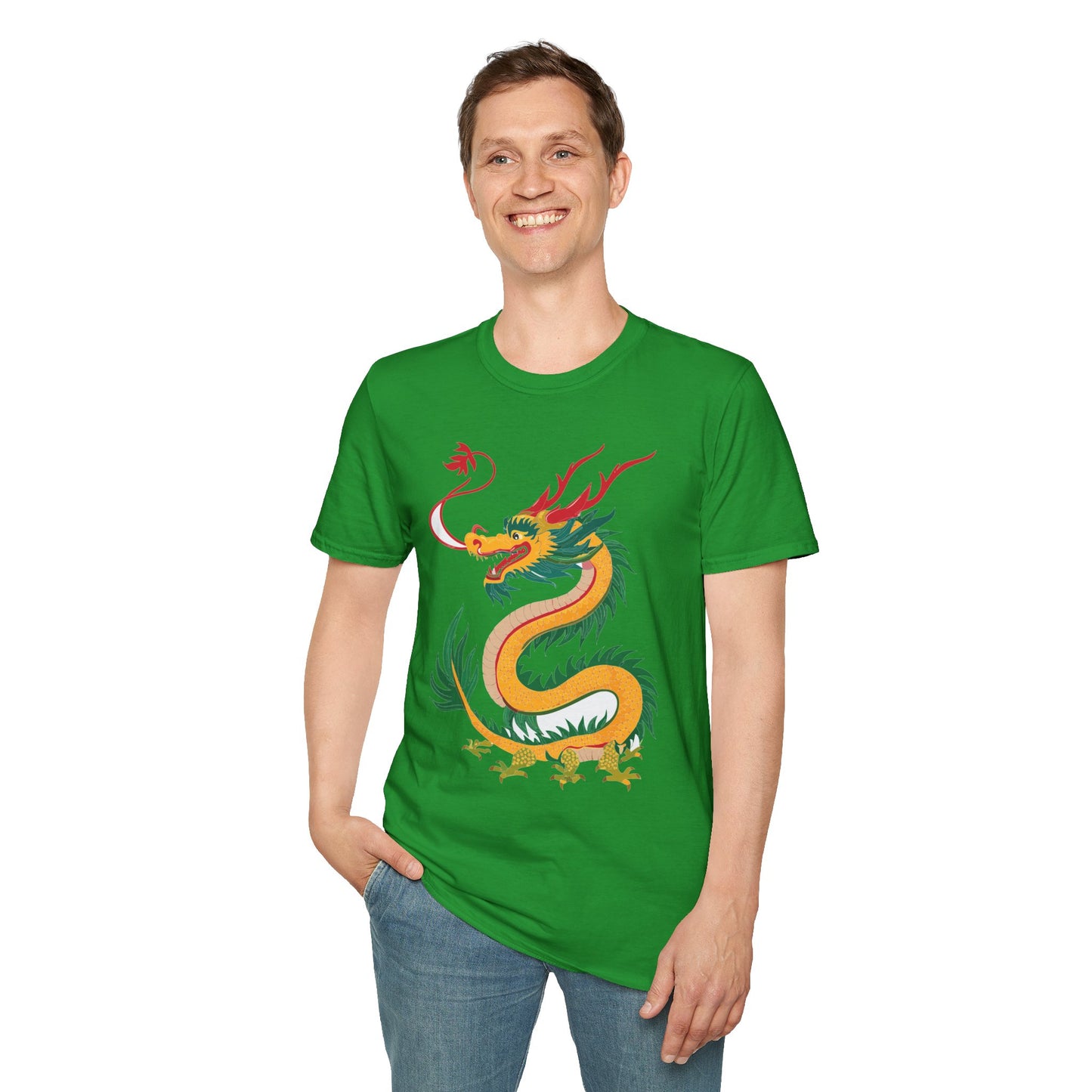 Dragon T Shirt, Dragon Shirt, Shirt with Animals, Animal Shirt