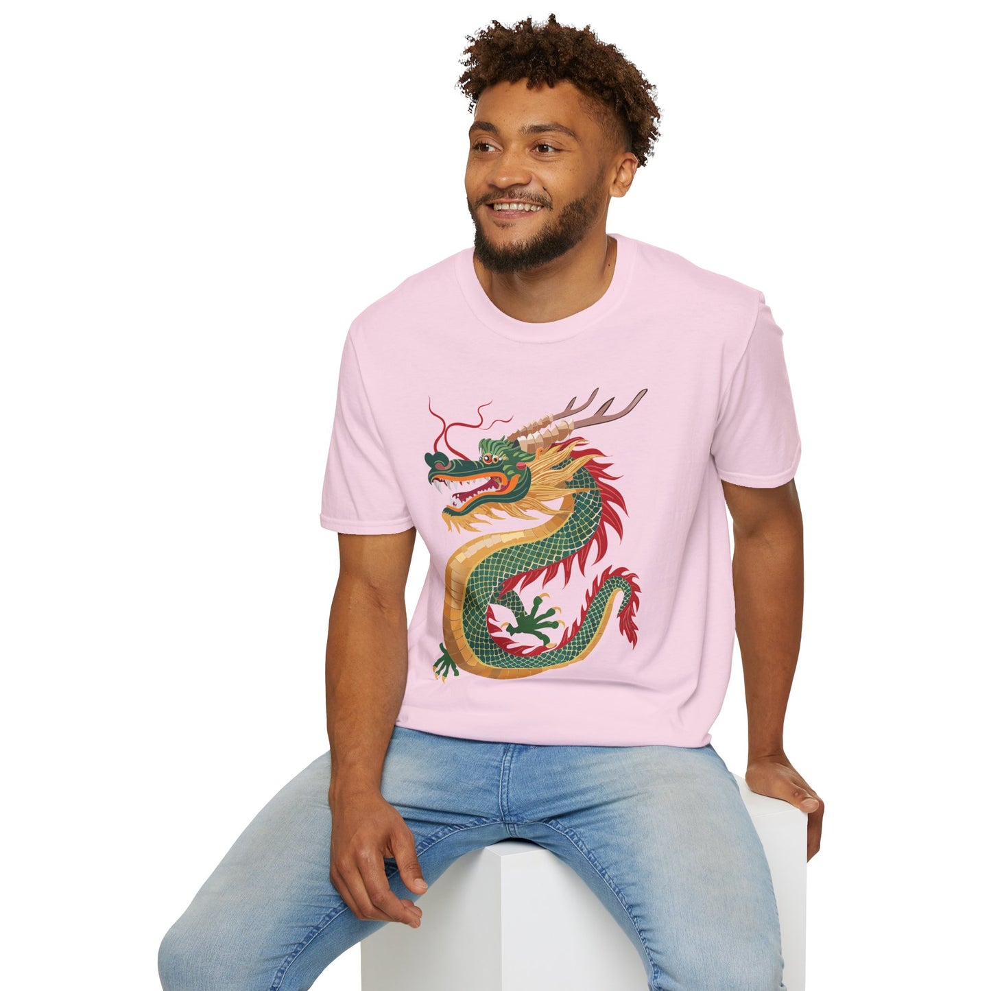Dragon T Shirt, Dragon Shirt, Shirt with Animals, Animal Shirt
