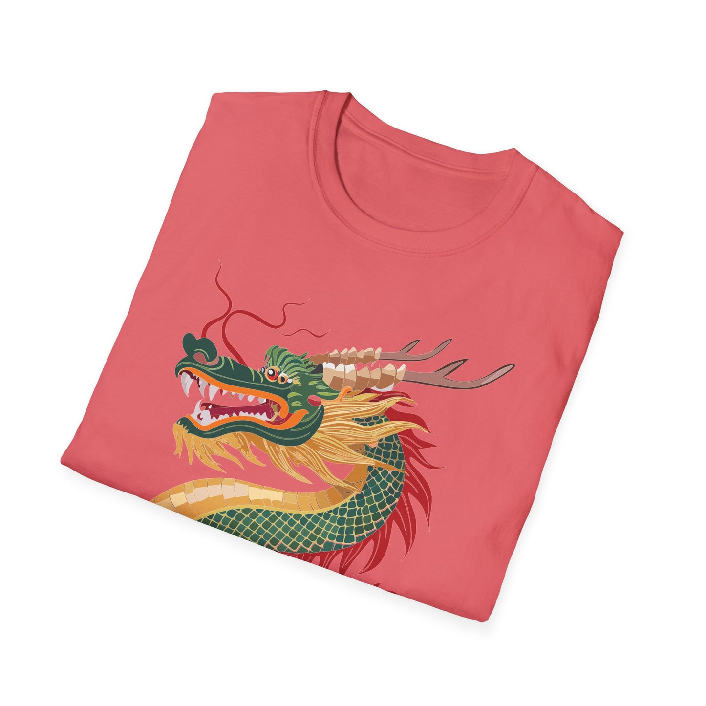 Dragon T Shirt, Dragon Shirt, Shirt with Animals, Animal Shirt