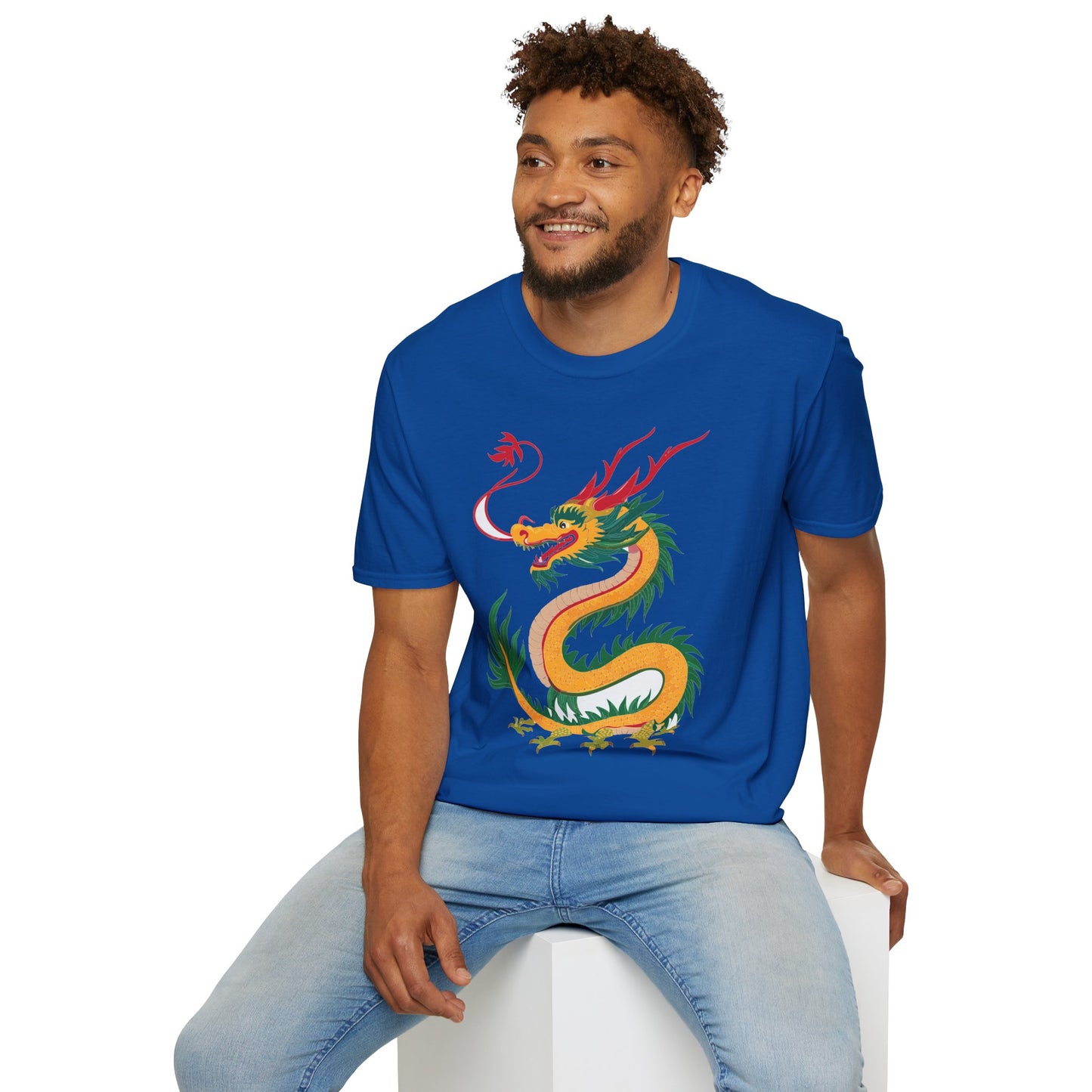 Dragon T Shirt, Dragon Shirt, Shirt with Animals, Animal Shirt