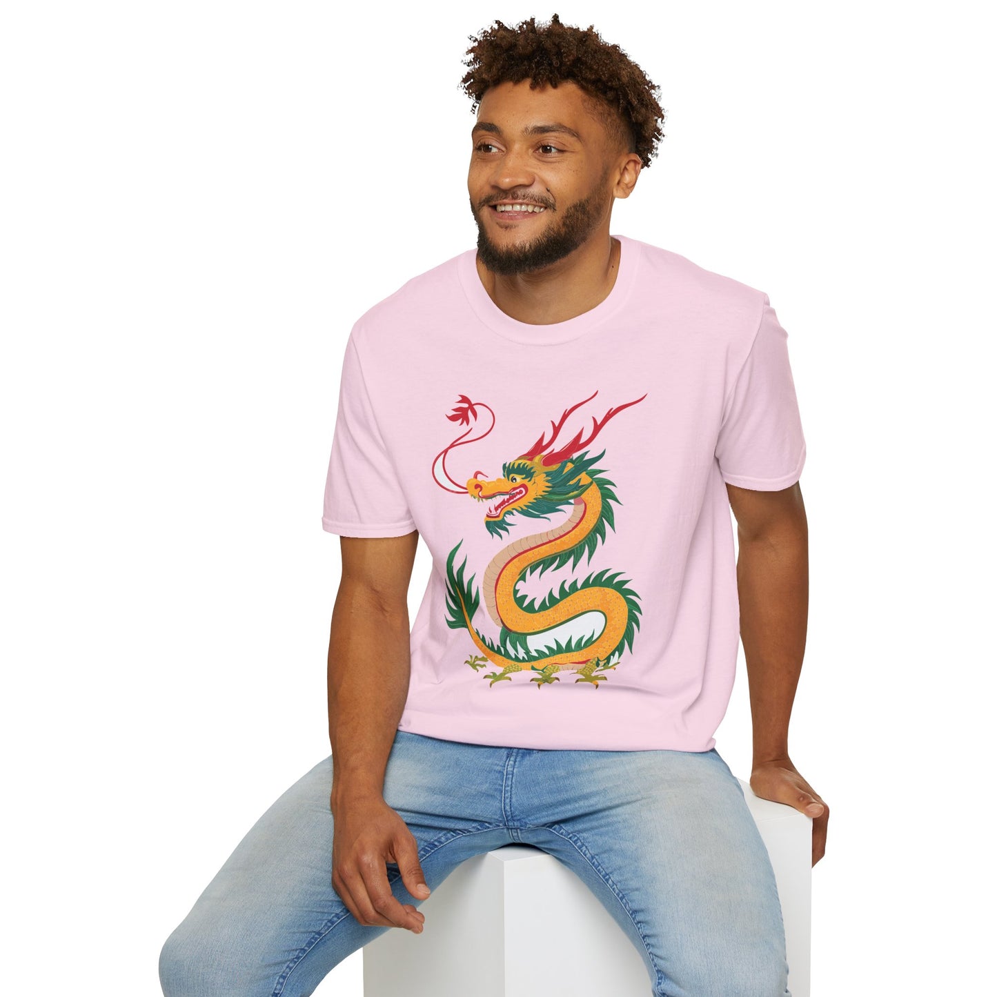 Dragon T Shirt, Dragon Shirt, Shirt with Animals, Animal Shirt