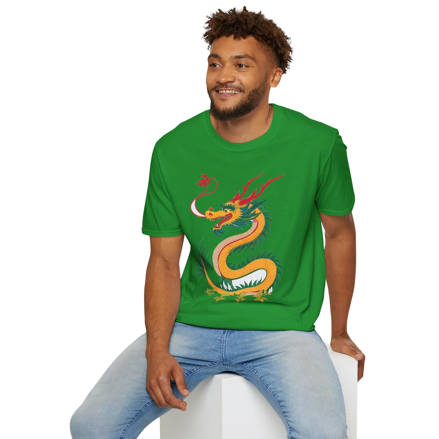 Dragon T Shirt, Dragon Shirt, Shirt with Animals, Animal Shirt