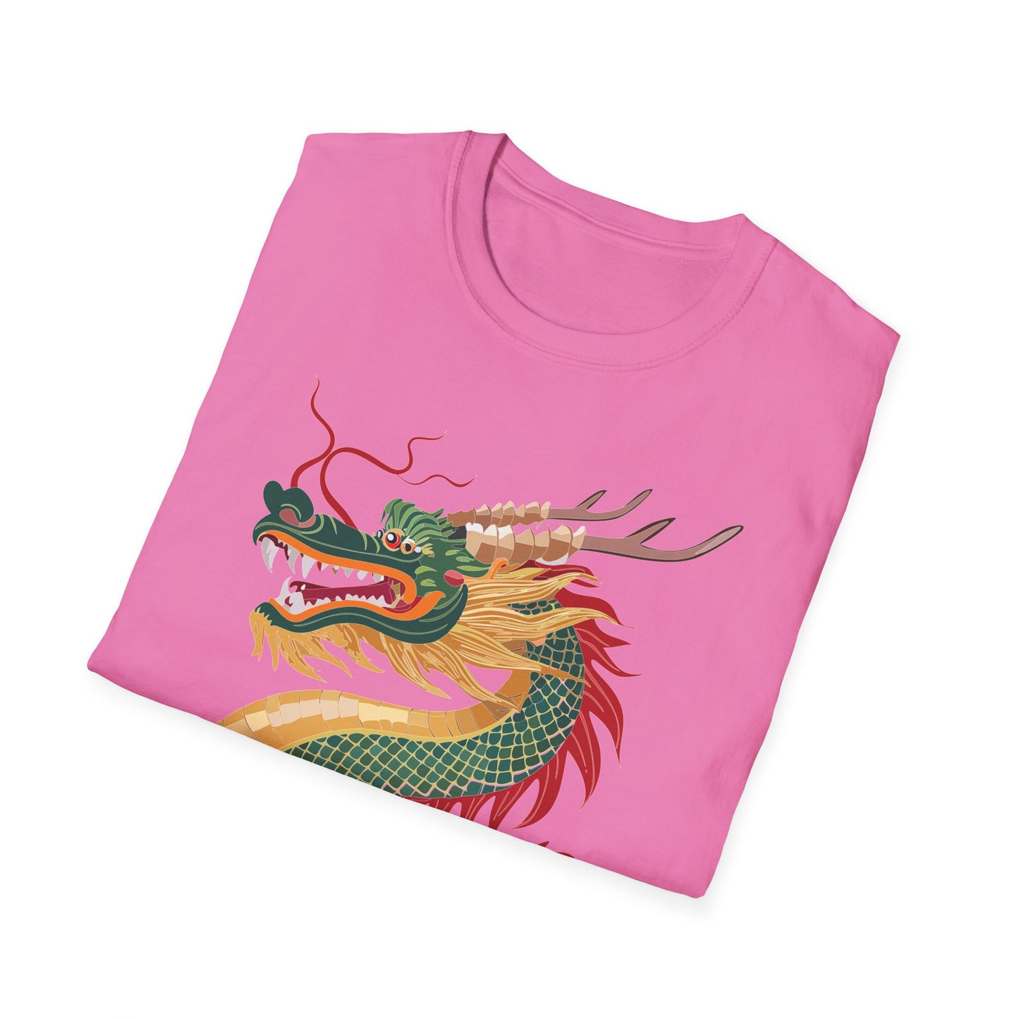 Dragon T Shirt, Dragon Shirt, Shirt with Animals, Animal Shirt