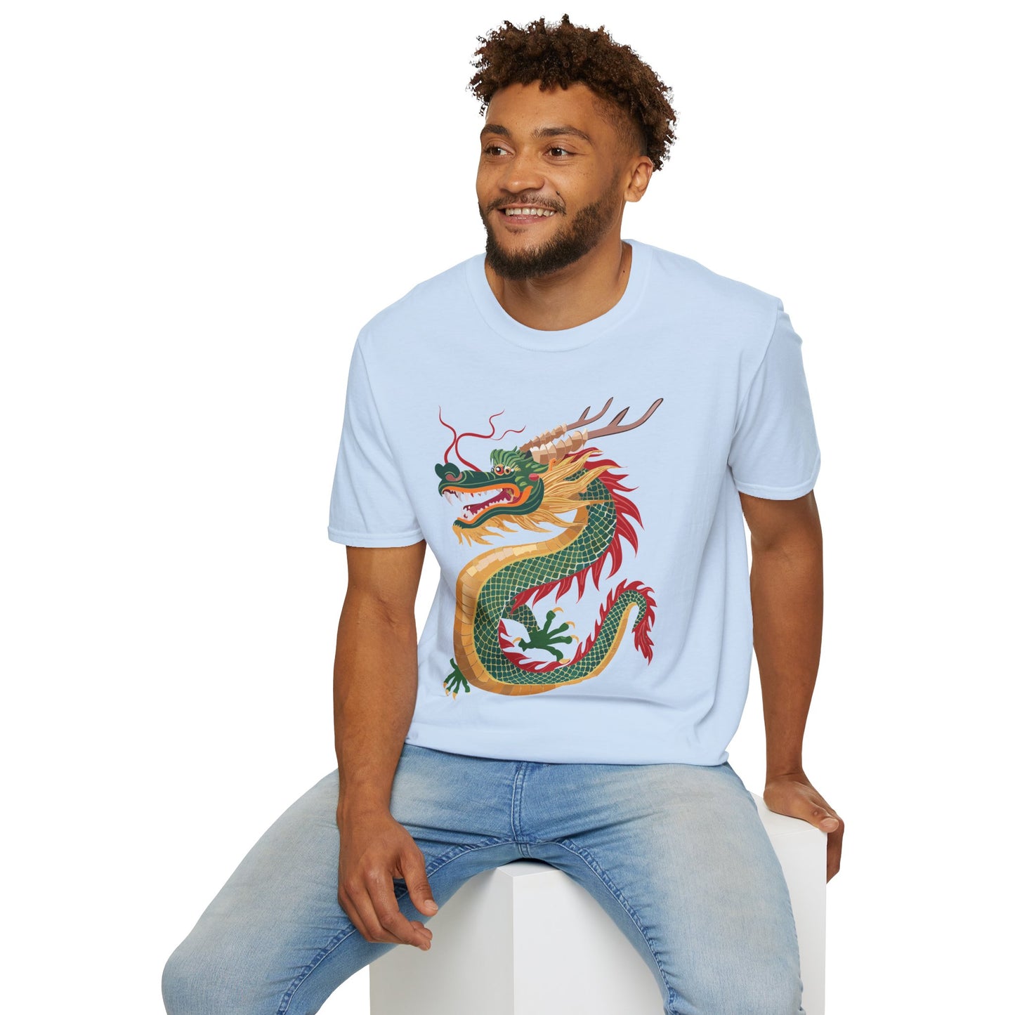 Dragon T Shirt, Dragon Shirt, Shirt with Animals, Animal Shirt