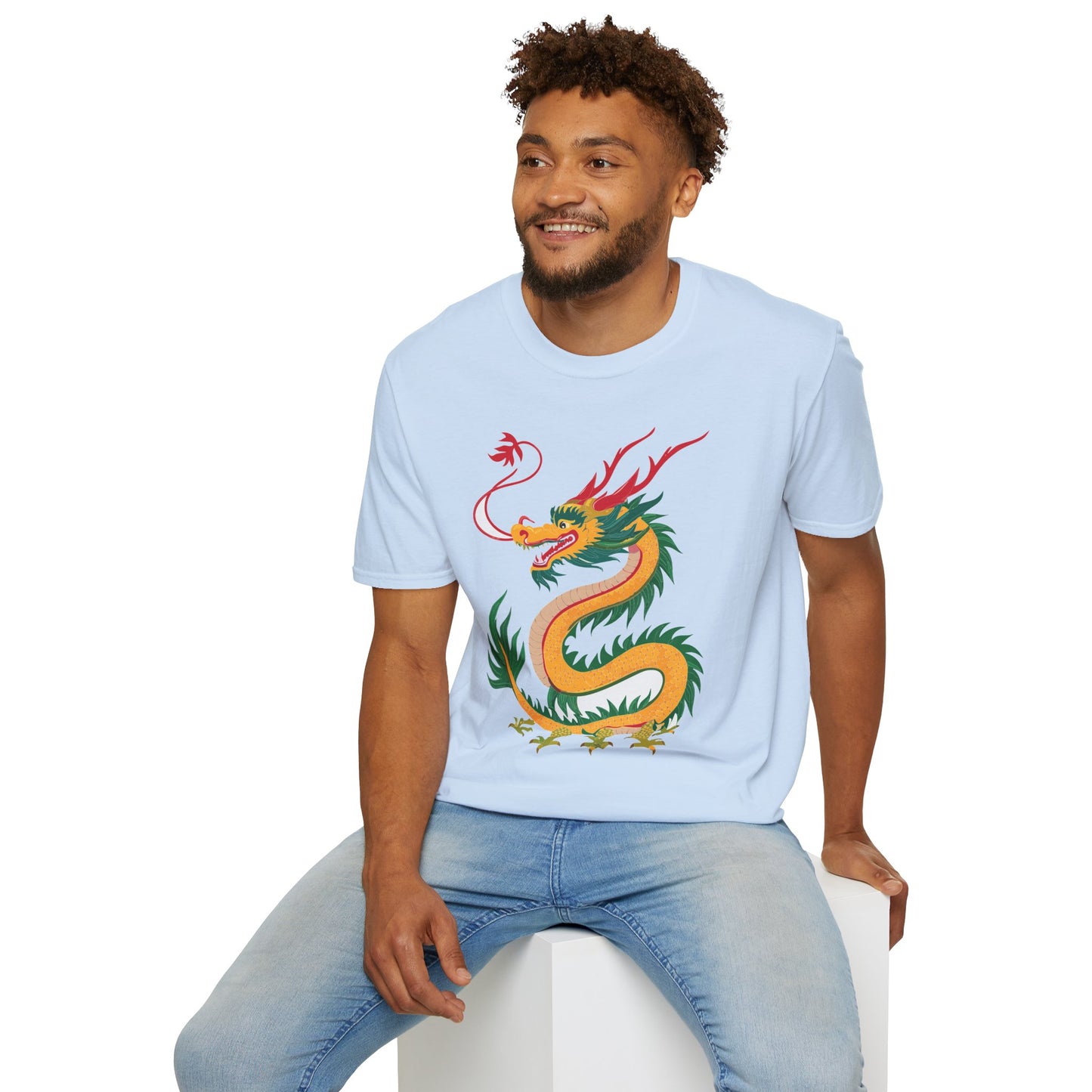 Dragon T Shirt, Dragon Shirt, Shirt with Animals, Animal Shirt