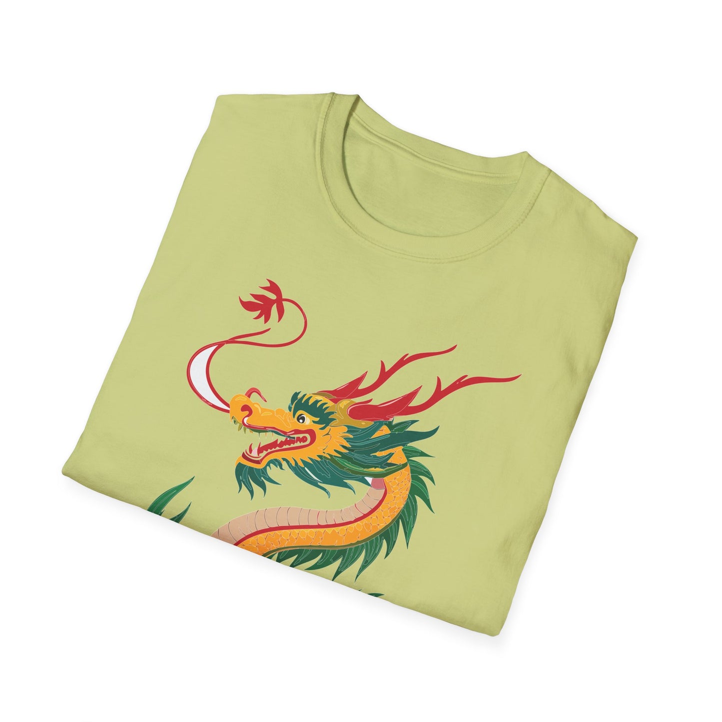 Dragon T Shirt, Dragon Shirt, Shirt with Animals, Animal Shirt
